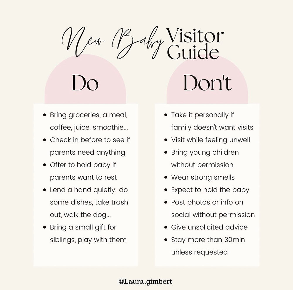 Postpartum Visitor Plan