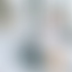 UPPAbaby VISTA Stroller Review