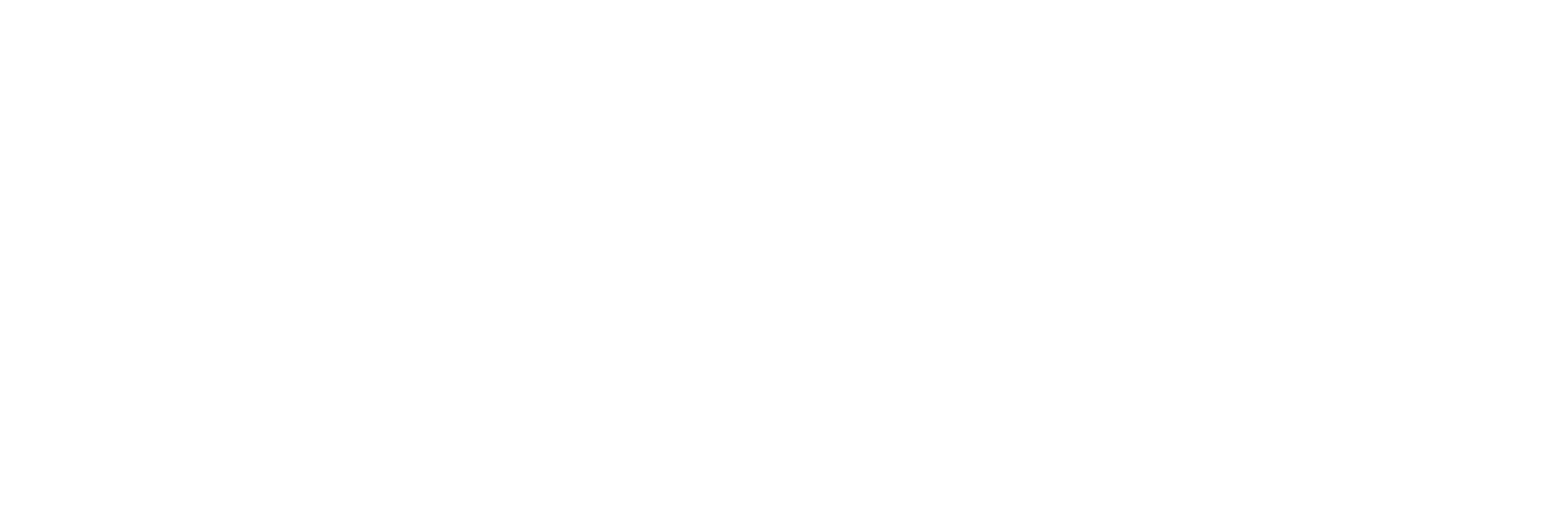 CrossTrail Logo Horizontal White copy.png