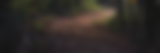 Banner 4.png