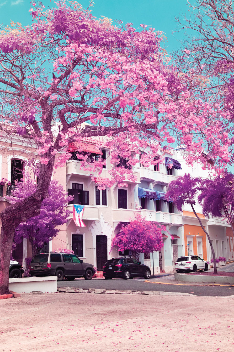 Old San Juan Courtyard