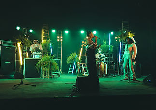 Festival Maçãs - A Colheita