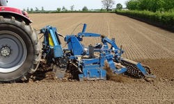 Imants_egyeb_Culter_01