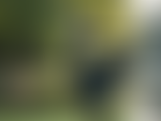 Discover Unique Bronze Sculptures: A Stunning Bronze Sculpture Collection