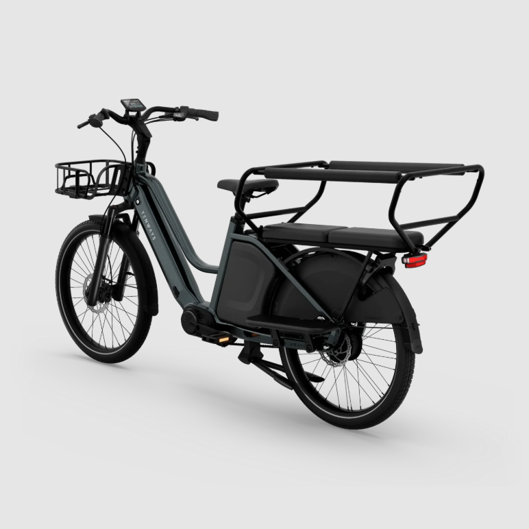 Miniaturbild: Tenways Longtail Duo