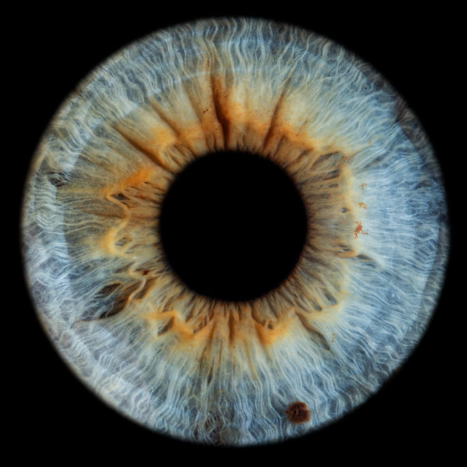 Augenbild Shutterstock.jpg