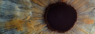 Irisdiagnose, Augendiagnose München Haidhausen