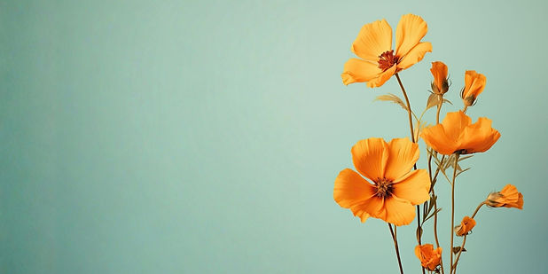 infinite-health-&-harmony-Yellow-Cosmos-Blossom-background-image-medium.jpg.jpg