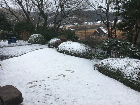初雪