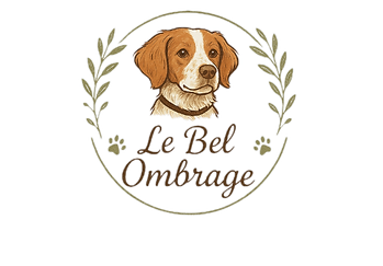 Design sans titre_edited_edited.png