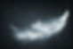 AdobeStock_175260026.jpeg