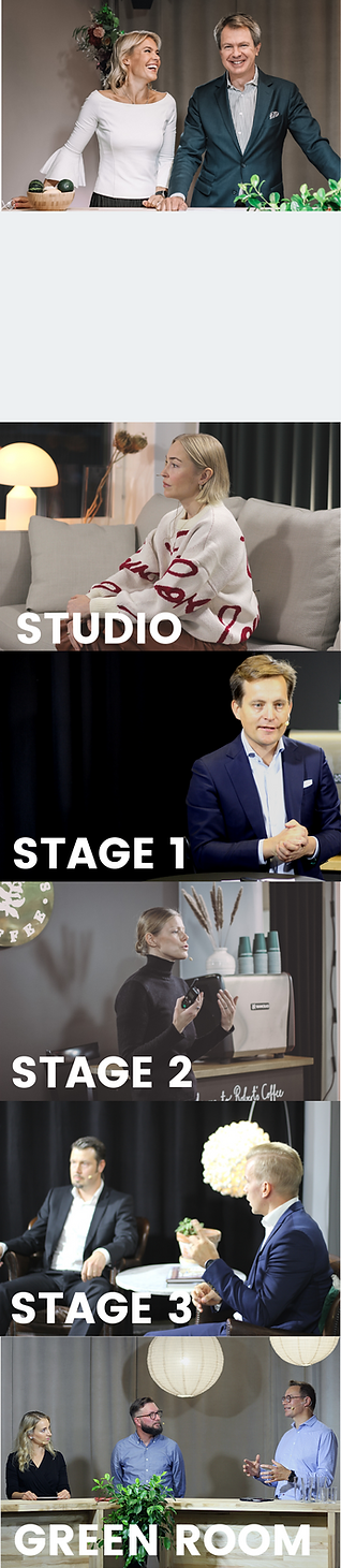 AINordic collage.png