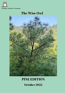 The Wise Owl (13).jpg