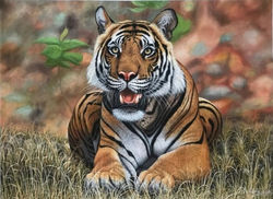 Tiger painted by Rajkumar Sha - Wildlife Artist in Ranthambore.jpeg