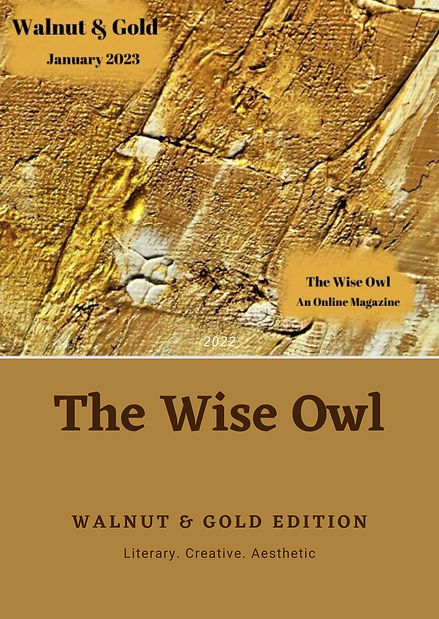 The Wise Owl (19).jpg
