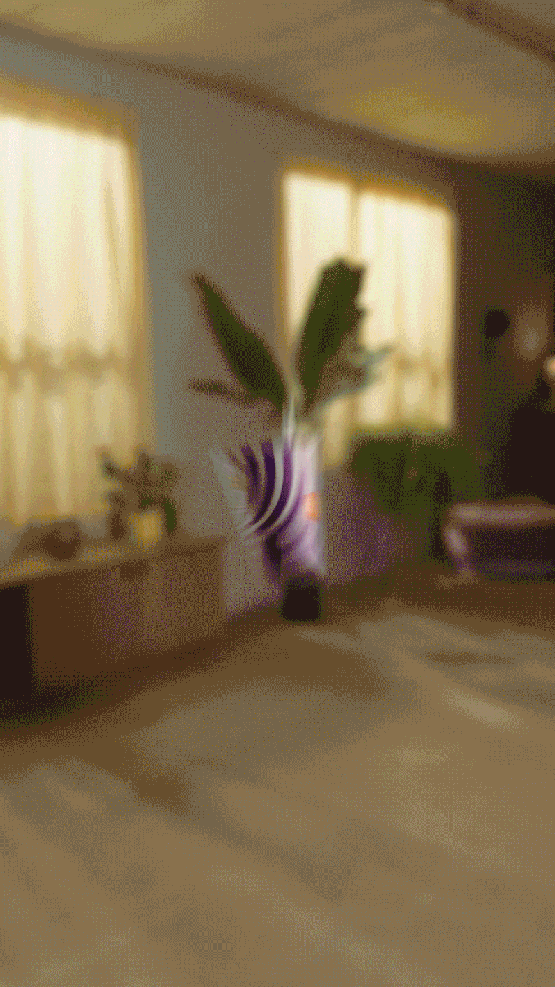 1747410021533-2.gif