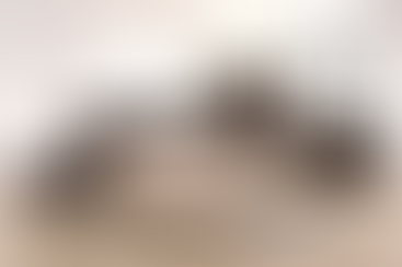 Discover Convenience and Variety at Our Furniture Warehouse From Alexandria Virginia, Washington DC