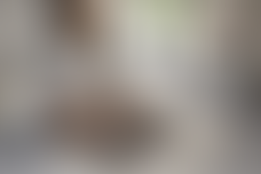 White Glove Delivery Elevating Your Furniture Experience From Alexandria Virginia, Washington DC