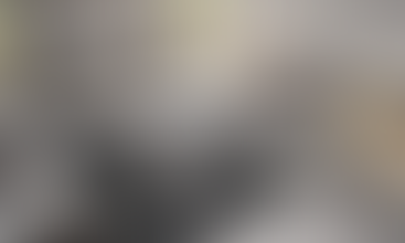 Furniture Warehouse A Haven of Choices for Every Home From Alexandria Virginia, Washington DC