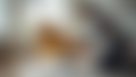 Book Professional Furniture Delivery and Setup Help