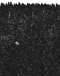 Texture-1.png