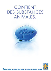 AFFICHE CHINE 2 - copie.jpg