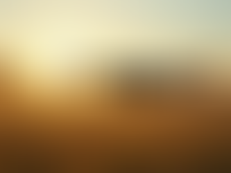 Ensuring Security in Drone SaaS Solutions for Businesses