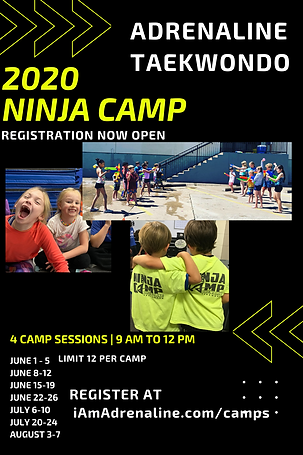 Copy of Copy of nInja camp final 4x6 (2)