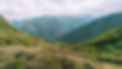 sayta-x-untamedvisuals-web-0295.jpg