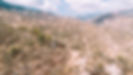 sayta-x-untamedvisuals-web-0365.jpg