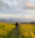 Harrison Appalachian Trail_edited.jpg