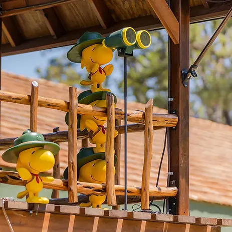 20240626_Camp-Snoopy_5693.webp