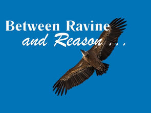 Between Ravin and Reason …