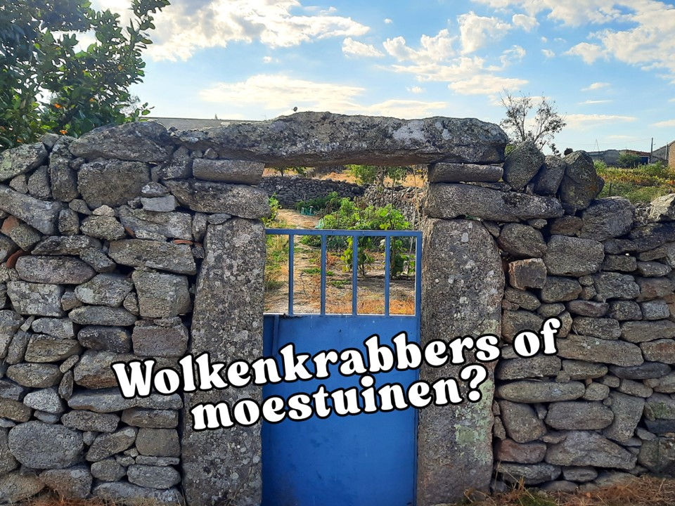 Wolkenkrabbers of moestuinen?
