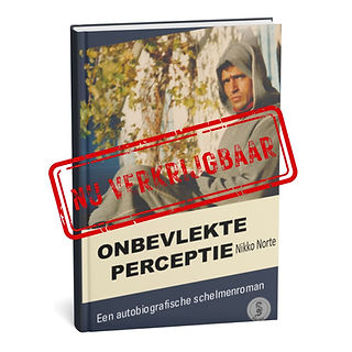 Nu verkrijgbaar Onbevlekte perceptie.jpg