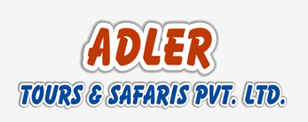 logo.gif