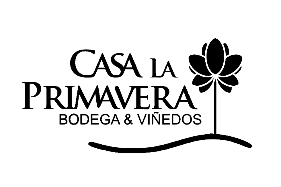 Wine Sur Representative for Casa la Primavera winery in Patagonia Argentina