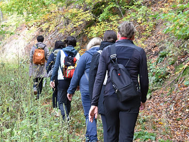 Wandergruppe der Resilienz Wanderung von hinten fotografiert auf schmalem Pfad wandernd im Herbst