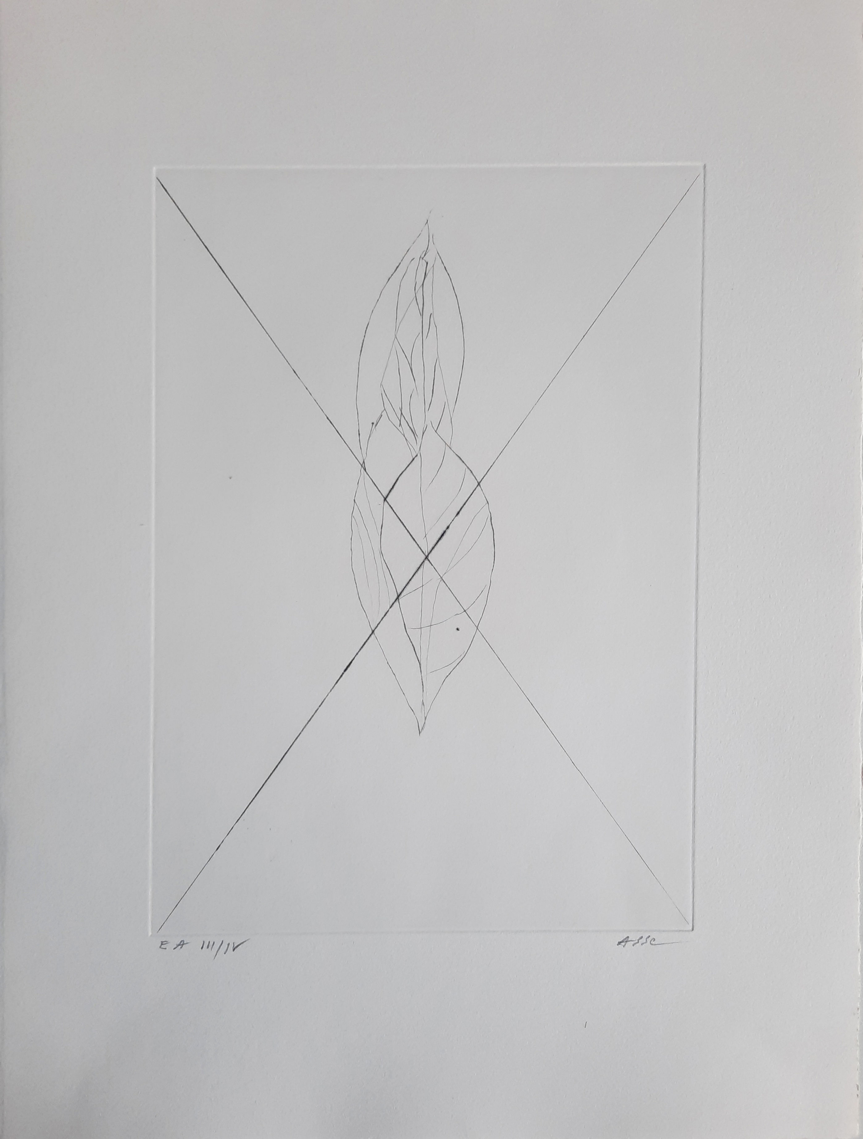 Geneviève Asse estampe