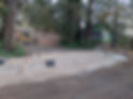 PXL_20220706_032045547.MP.jpg