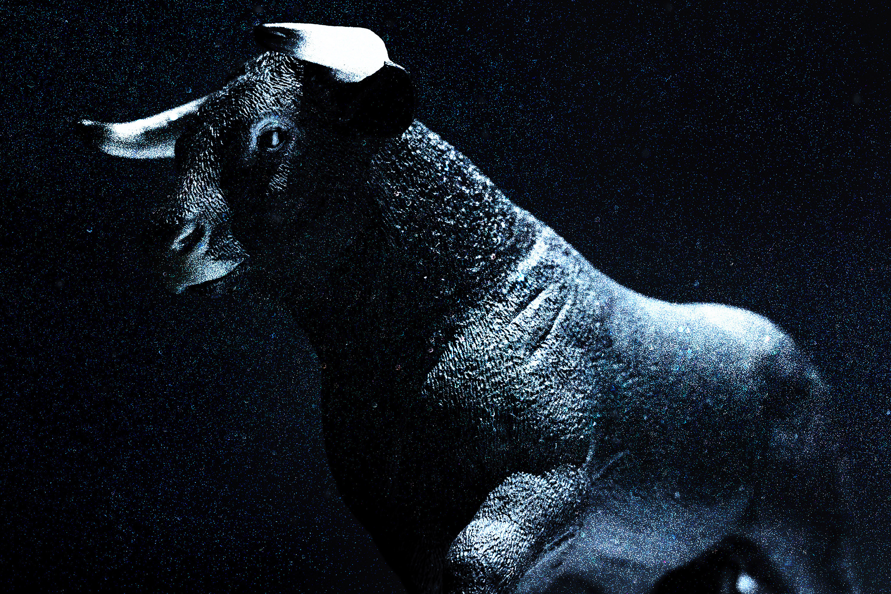 a placeholder image.