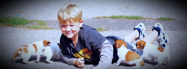 Screen%2520Shot%25202016-08-13%2520at%25