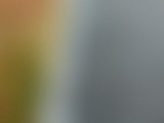 Why Regular Maintenance for Gutters Is Crucial