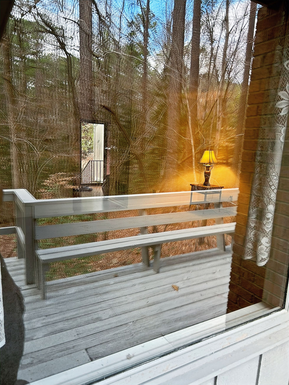 Eye-level view of a sparkling clean window