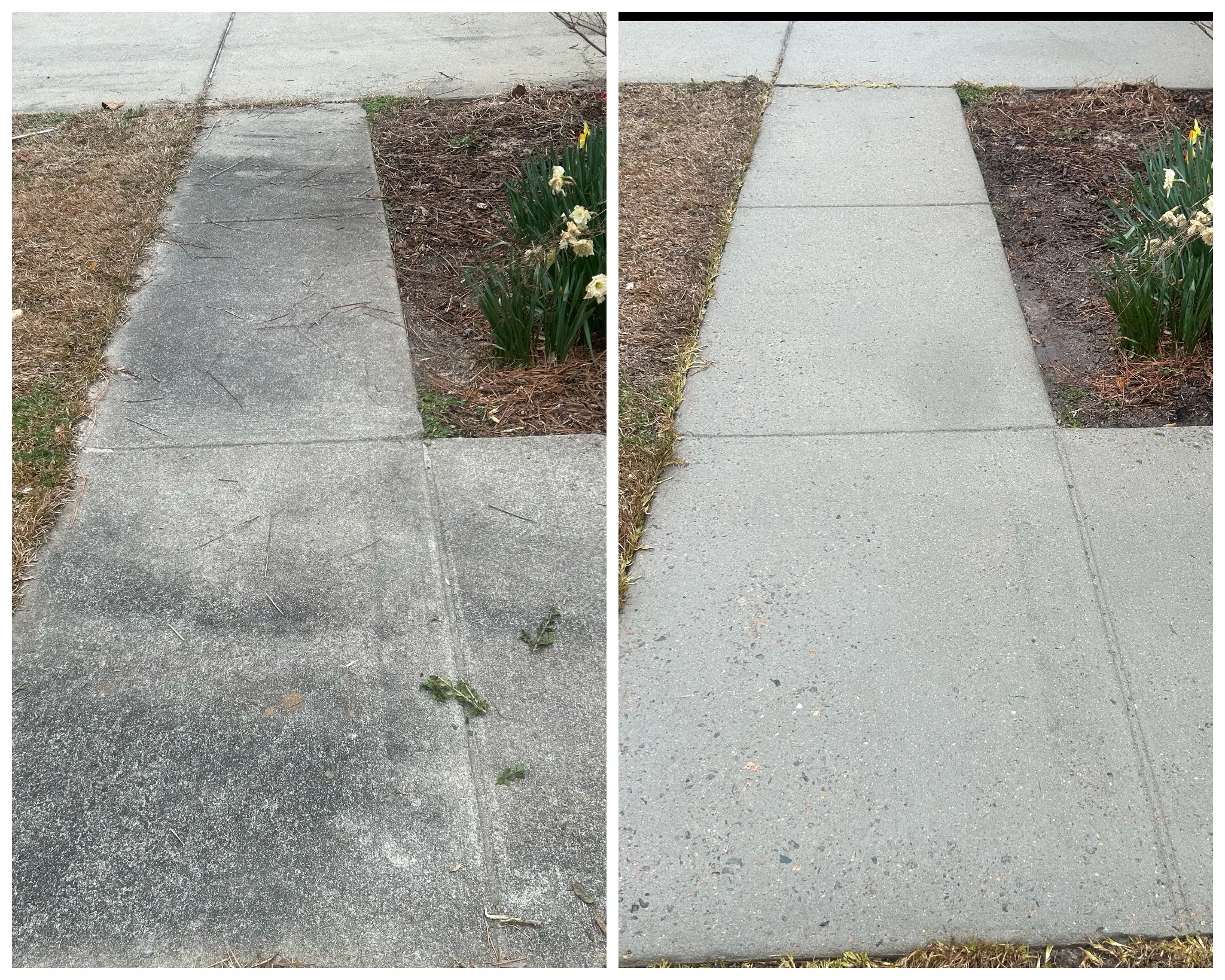 Side-by-side comparison of dirty and clean concrete walkway.


