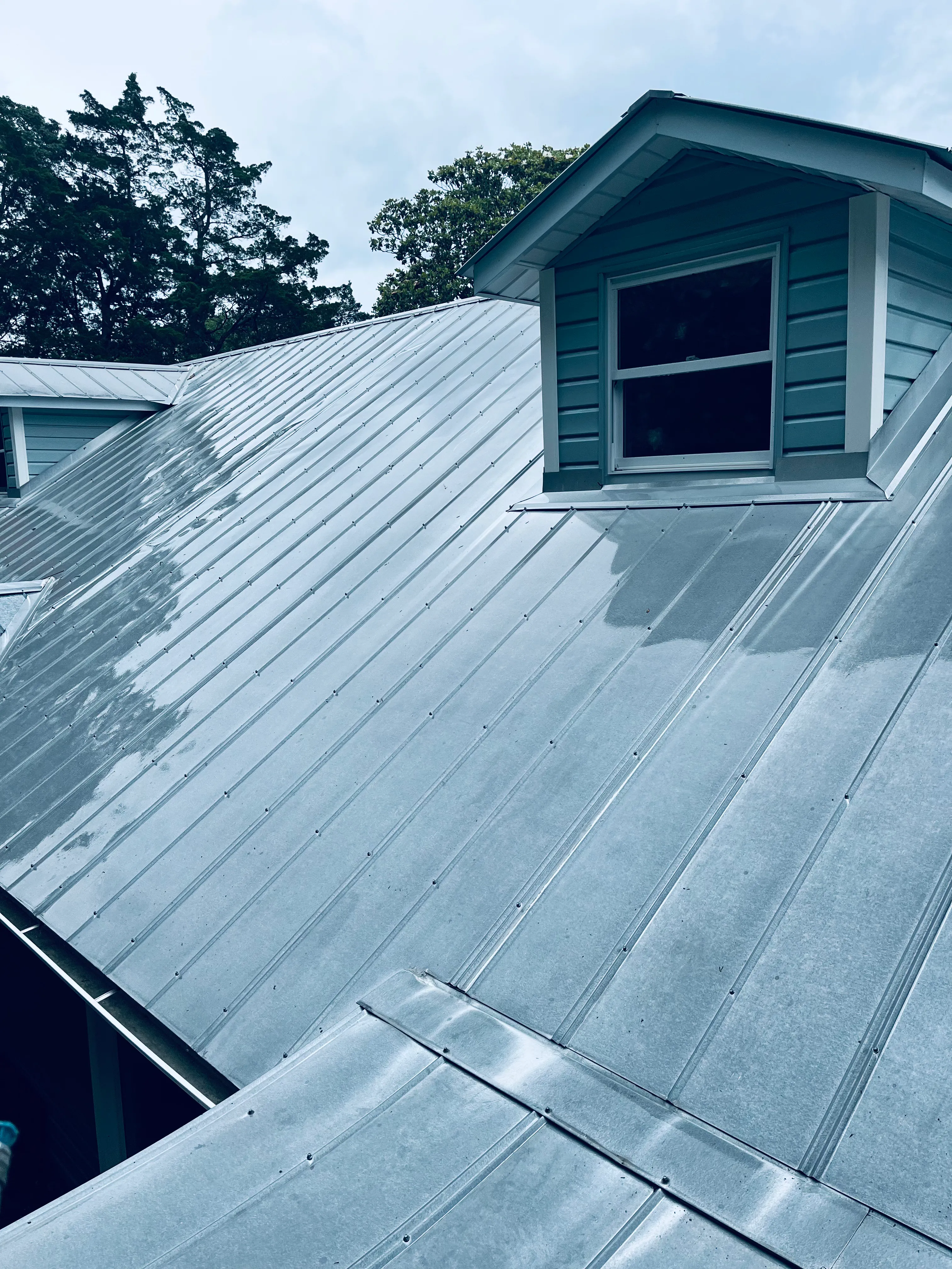 Close-up of clean roof shingles after algae removal in Pinehurst.