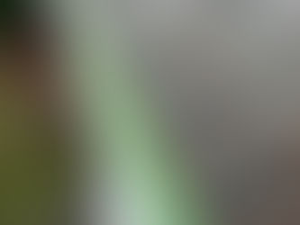 Top Signs Your Gutters Need Immediate Attention