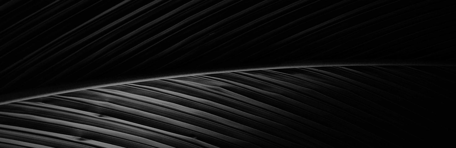 Black leaf HWD_edited.jpg