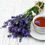 Thumbnail: Hyssop (Hyssopus offcinalis)