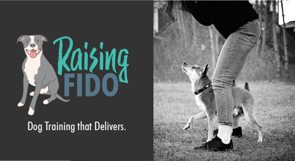 Fido training 2025